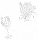 wheat-wine wheat and wine